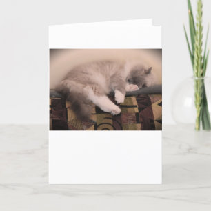 Días lentos, tarjeta