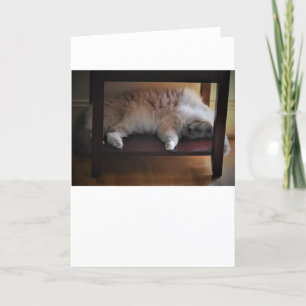 Días lentos, tarjeta