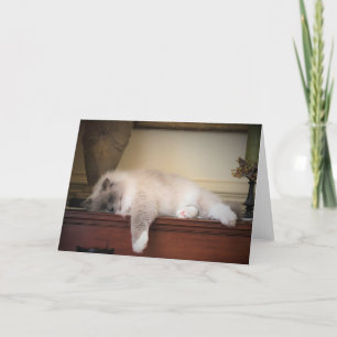 Días lentos, tarjeta