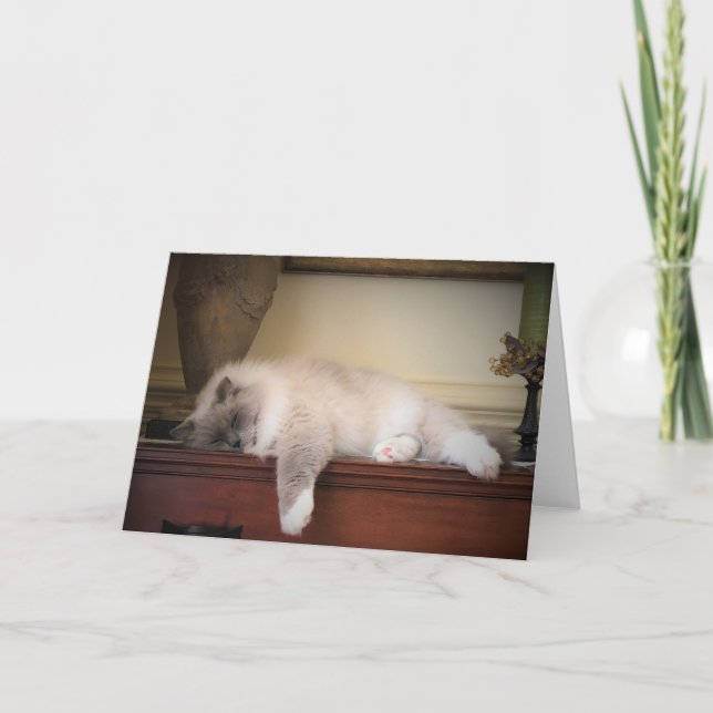 Días lentos, tarjeta (Anverso)