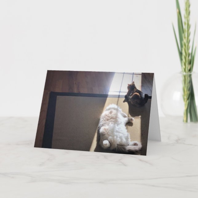 Días lentos, tarjeta (Anverso)