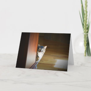 Días lentos, tarjeta