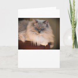 Días lentos, tarjeta