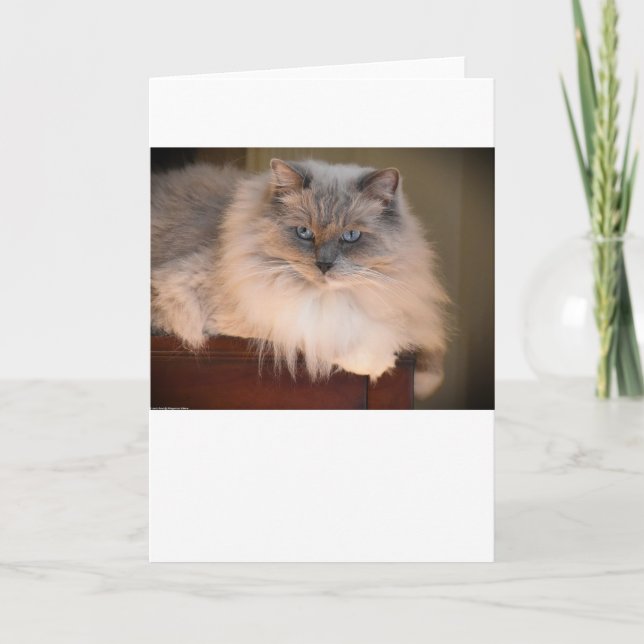 Días lentos, tarjeta (Anverso)