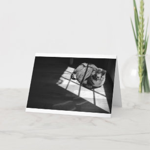 Días lentos, tarjeta