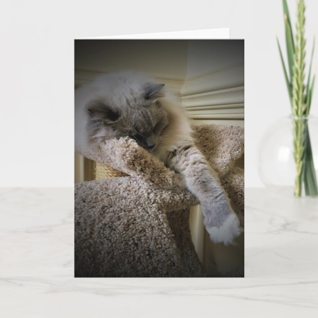 Días lentos, tarjeta (Anverso)