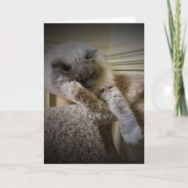 Días lentos, tarjeta