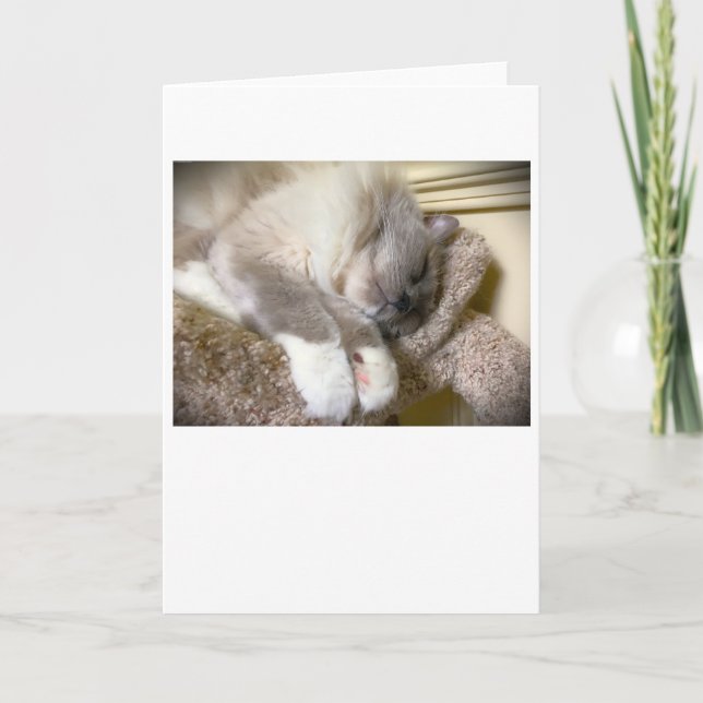 Días lentos, tarjeta (Anverso)