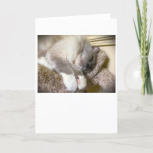 Días lentos, tarjeta