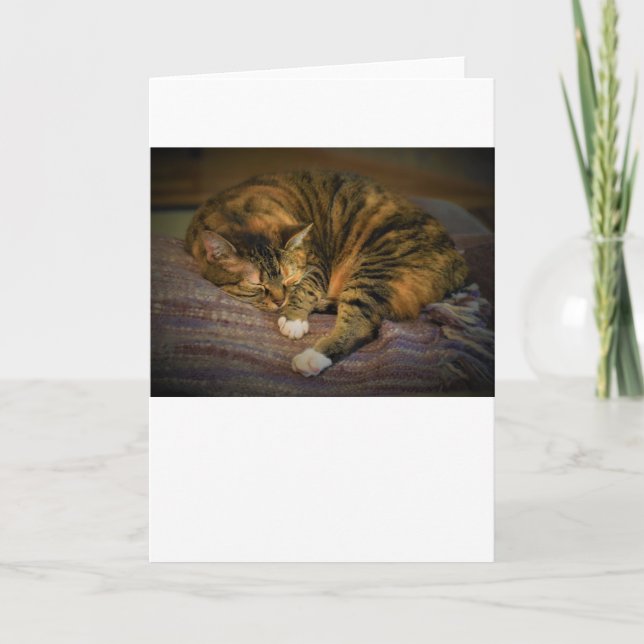 Días lentos, tarjeta (Anverso)