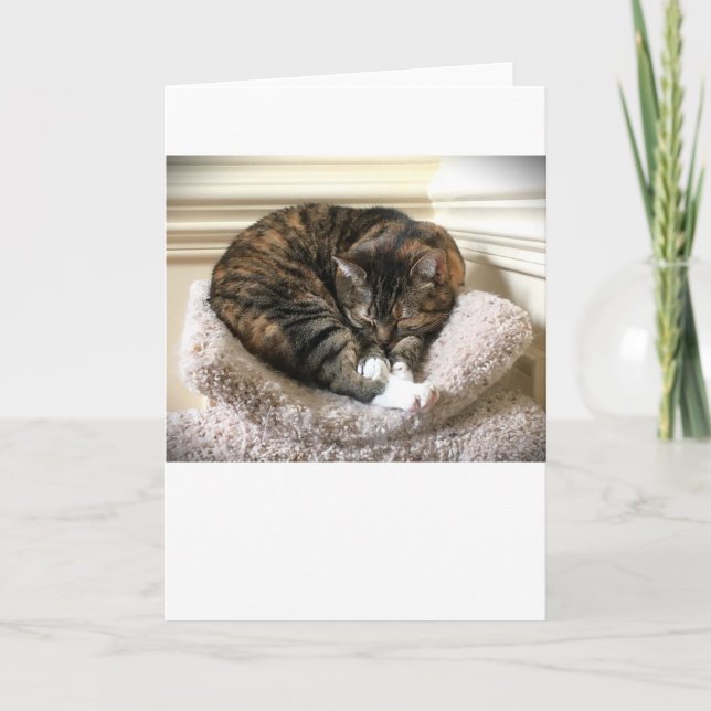 Días lentos, tarjeta (Anverso)