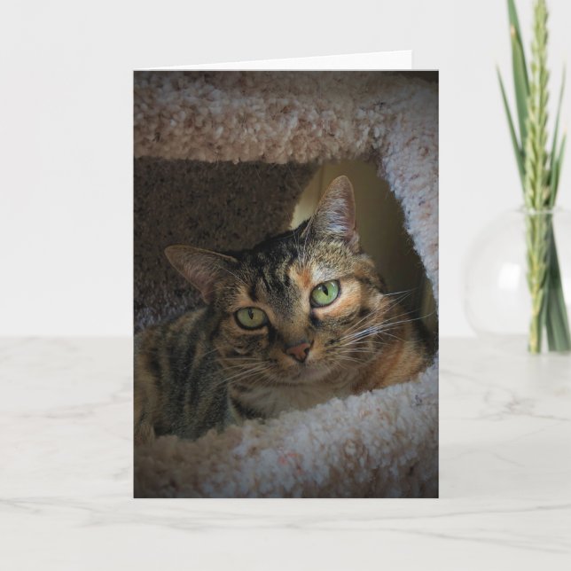 Días lentos, tarjeta (Anverso)