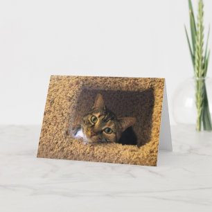 Días lentos, tarjeta