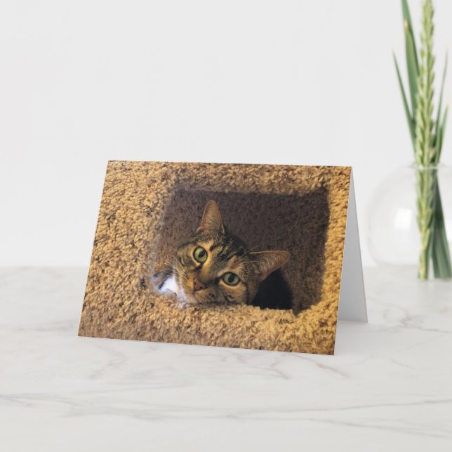 Días lentos, tarjeta (Anverso)