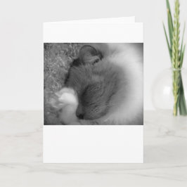 Días lentos, tarjeta