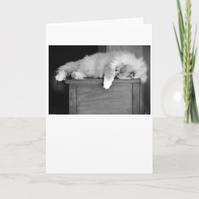 Días lentos, tarjeta (Anverso)