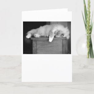 Días lentos, tarjeta