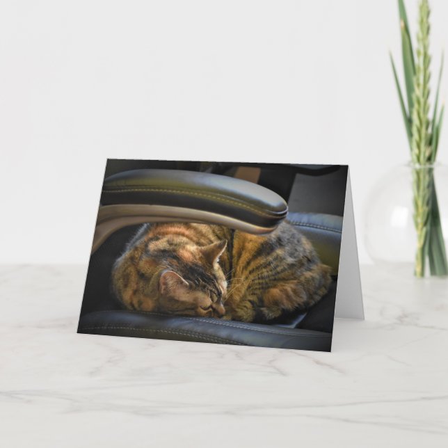 Días lentos, tarjeta (Anverso)