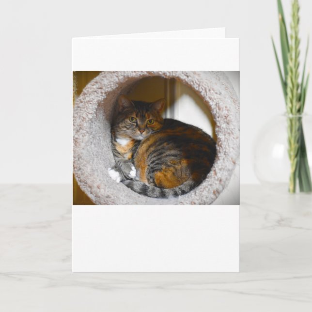 Días lentos, tarjeta (Anverso)