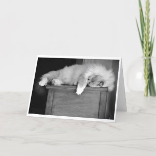 Días lentos, tarjeta