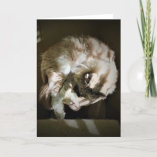 Días lentos, tarjeta