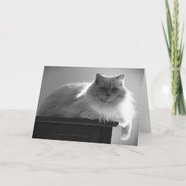 Días lentos, tarjeta