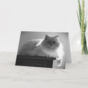 Días lentos, tarjeta