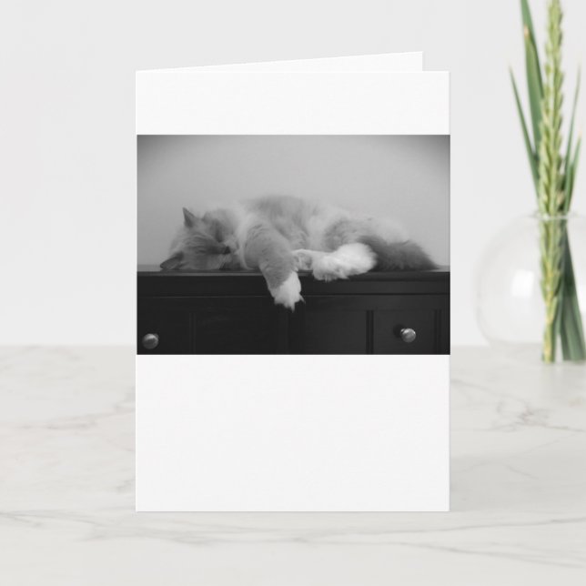 Días lentos, tarjeta (Anverso)