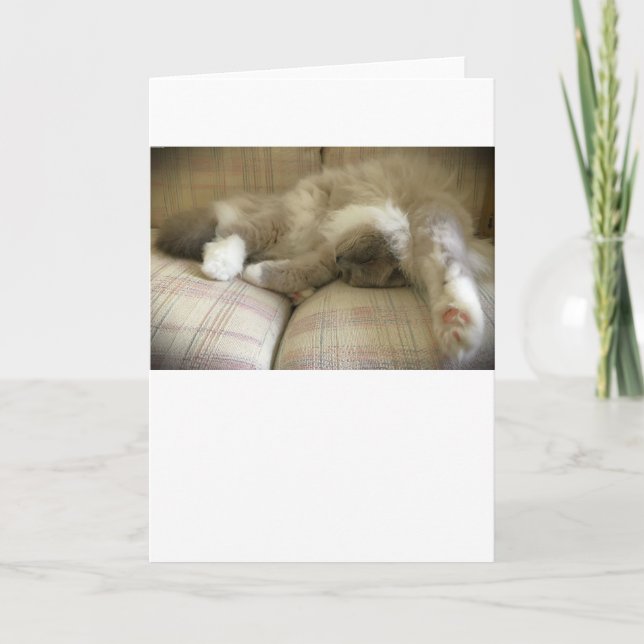 Días lentos, tarjeta (Anverso)