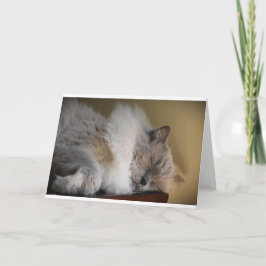 Días lentos, tarjeta