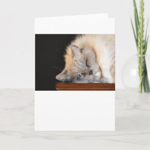 Días Lentos, tarjeta