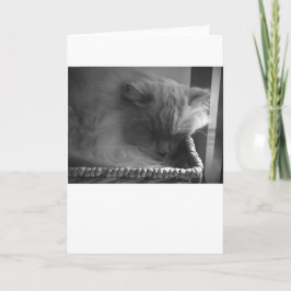 Días lentos, tarjeta