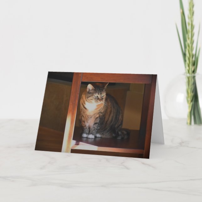 Días lentos, tarjeta (Anverso)