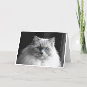 Días lentos, tarjeta