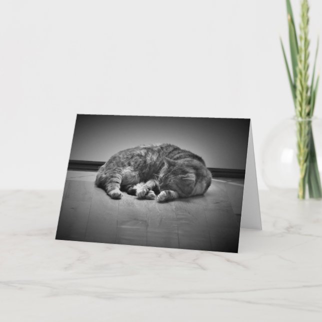 Días lentos, tarjeta (Anverso)