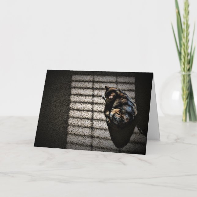 Días lentos, tarjeta (Anverso)