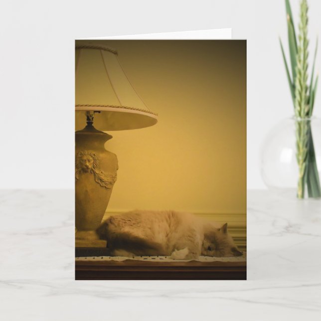 Días lentos, tarjeta (Anverso)