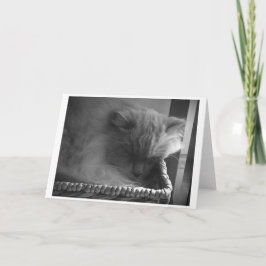 Días lentos, tarjeta