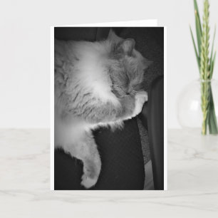 Días lentos, tarjeta