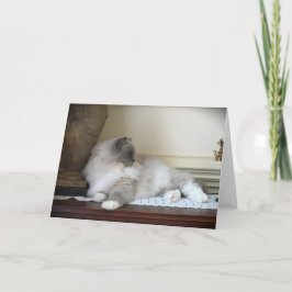 Días lentos, tarjeta