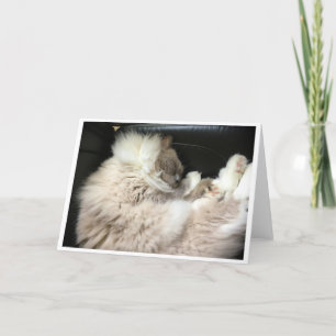 Días lentos, tarjeta