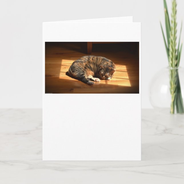 Días lentos, tarjeta (Anverso)