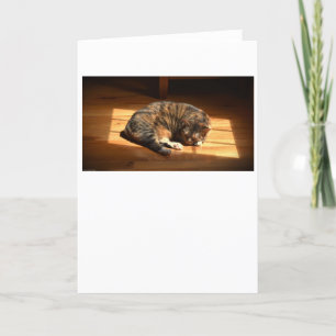 Días lentos, tarjeta