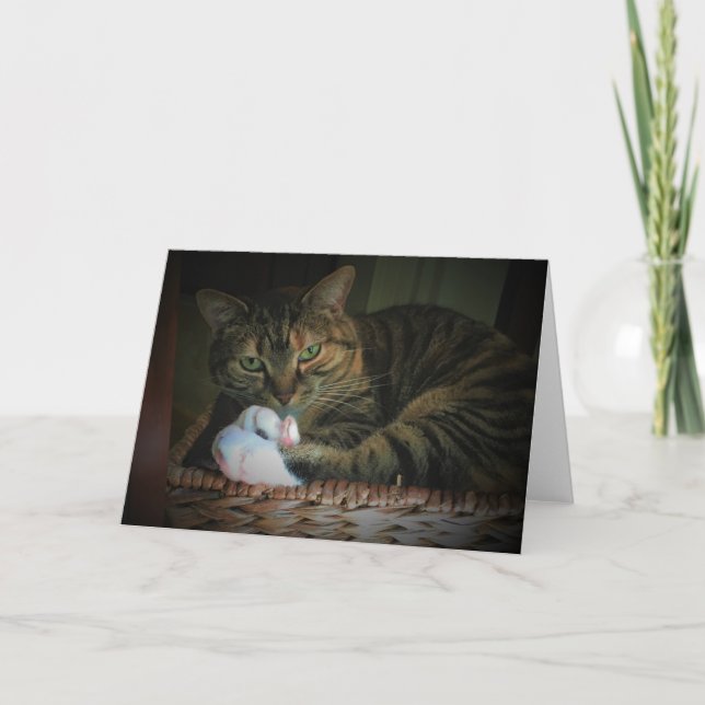 Días lentos, tarjeta (Anverso)