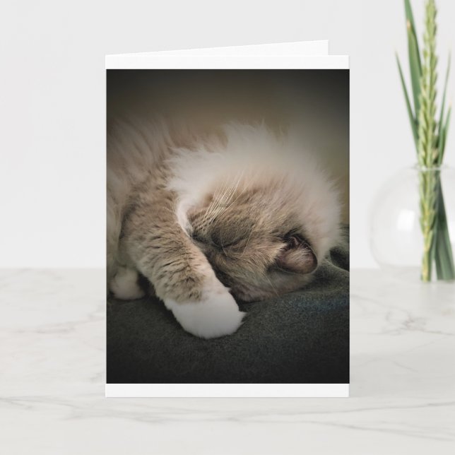 Días lentos, tarjeta (Anverso)