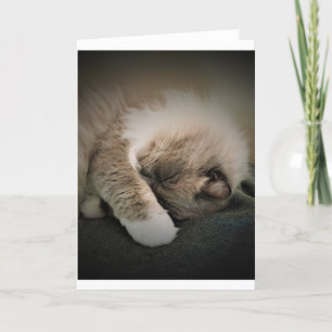 Días lentos, tarjeta