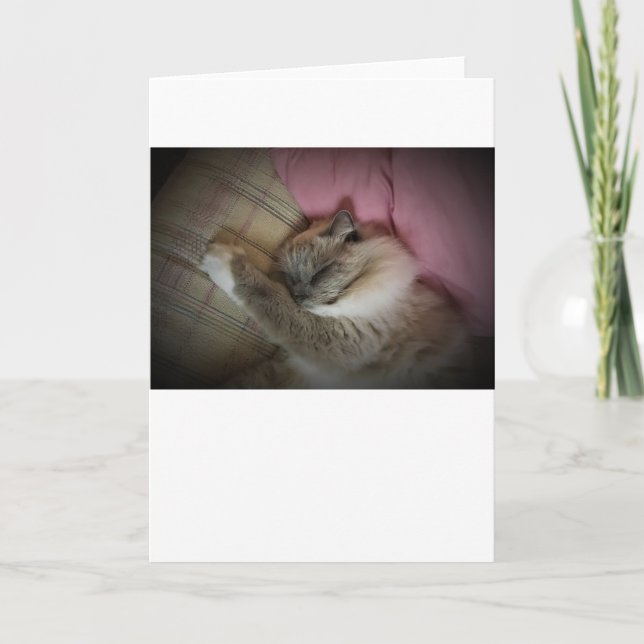 Días lentos, tarjeta (Anverso)