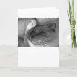 Días lentos, tarjeta