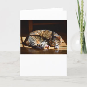 Días lentos, tarjeta