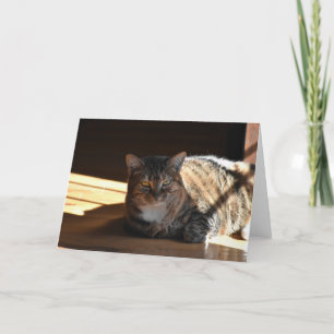 Días lentos, tarjeta